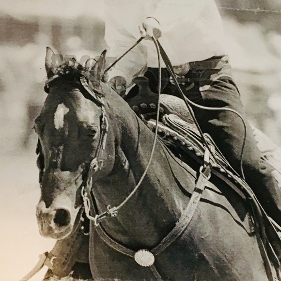 My Fab Four legged babies! Thanks for stopping by! - Picture 2 of 9